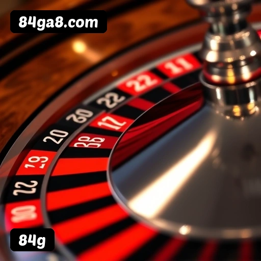 Interface de Apostas ao Vivo - Transmissão e Odds em Tempo Real